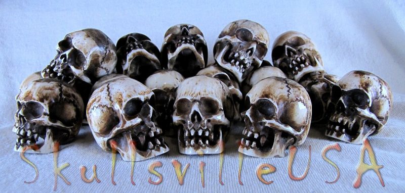 water buffalo bone vampire skull beads