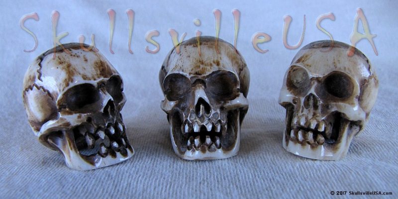 water buffalo bone vampire skull beads